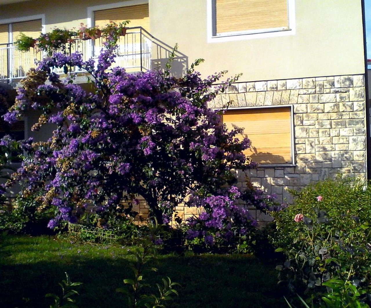 Lovely Apartment In פומר מראה חיצוני תמונה